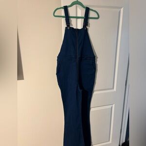 Express Dark Blue Women's Overalls